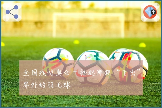 全国残特奥会 - 拾起那颗“飞出”界外的羽毛球