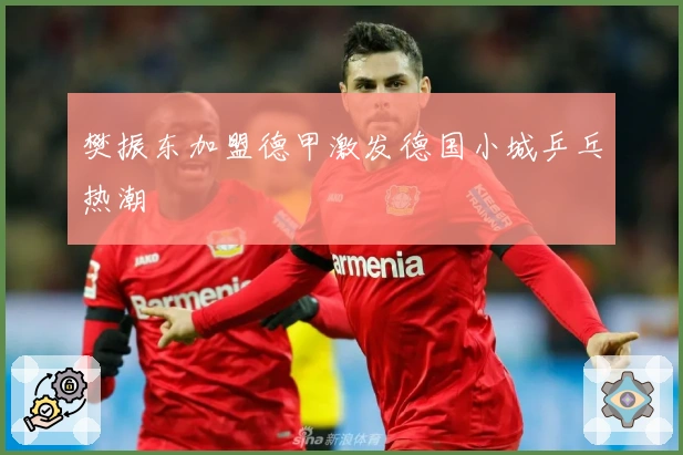 樊振东加盟德甲激发德国小城乒乓热潮